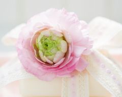 Tapeta Nature Flowers 651.jpg